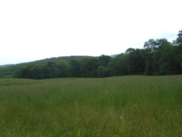 * Traister Road Rimersburg, PA 16248 - Photo 23 of 34