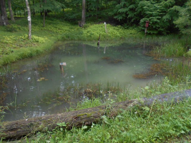 * Traister Road Rimersburg, PA 16248 - Photo 24 of 34