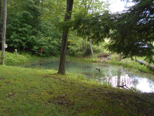 * Traister Road Rimersburg, PA 16248 - Photo 26 of 34