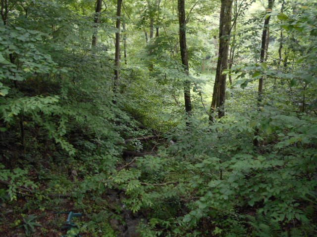 * Traister Road Rimersburg, PA 16248 - Photo 29 of 34