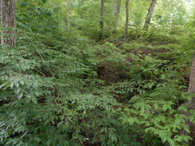 * Traister Road Rimersburg, PA 16248 - Photo 30 of 34