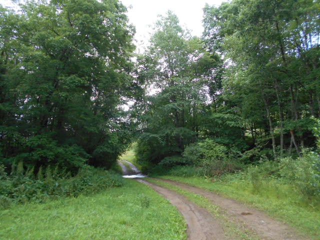 * Traister Road Rimersburg, PA 16248 - Photo 3 of 34