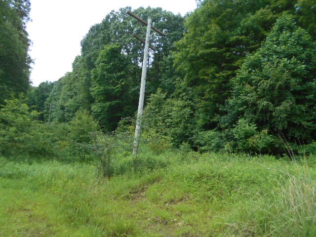 * Traister Road Rimersburg, PA 16248 - Photo 33 of 34