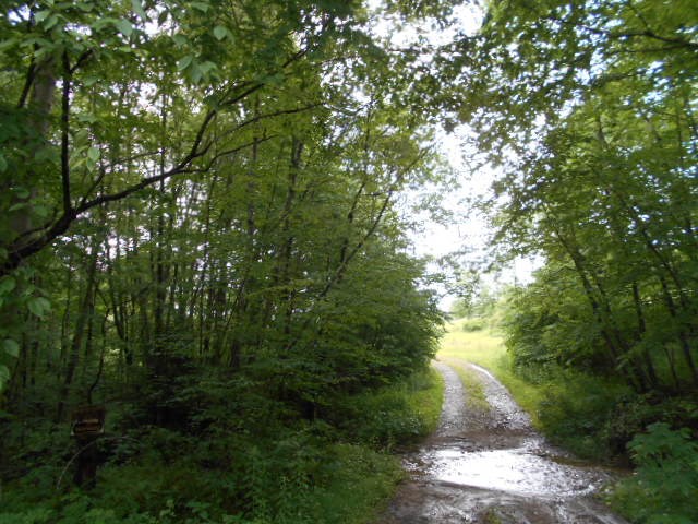 * Traister Road Rimersburg, PA 16248 - Photo 6 of 34