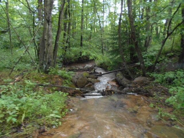 * Traister Road Rimersburg, PA 16248 - Photo 7 of 34
