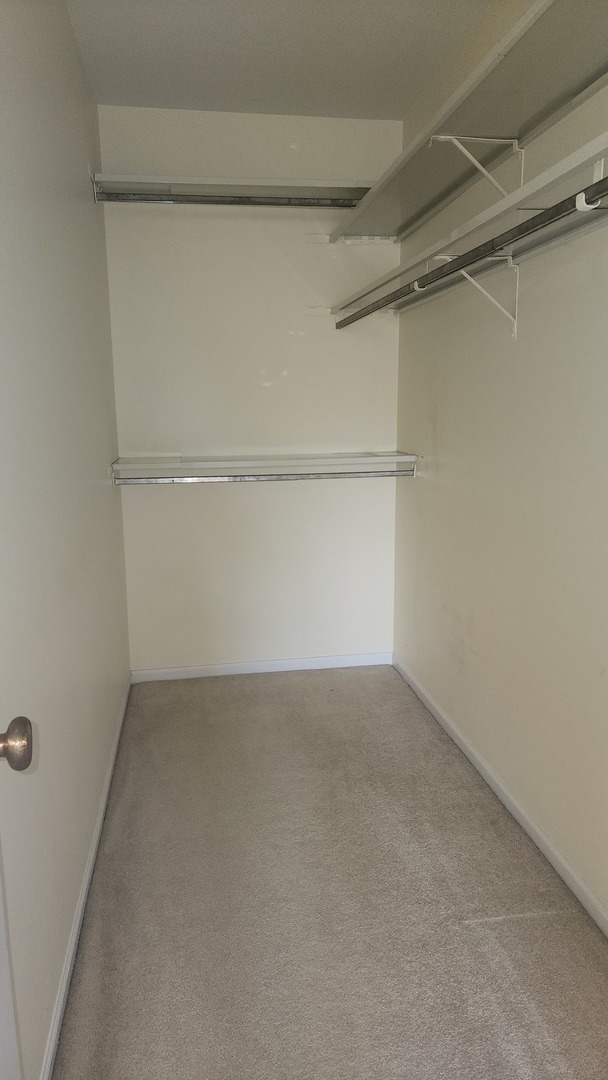 826 Thornton Court, Unit 2AL Schaumburg, IL 60193 - Photo 11 of 12