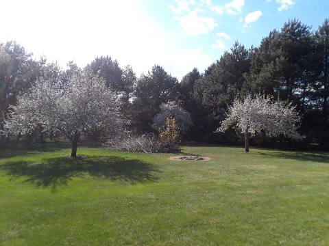 14183 Heather Ridge Drive Rogers, MN 55374 - Photo 3 of 72 Gallery Image 3