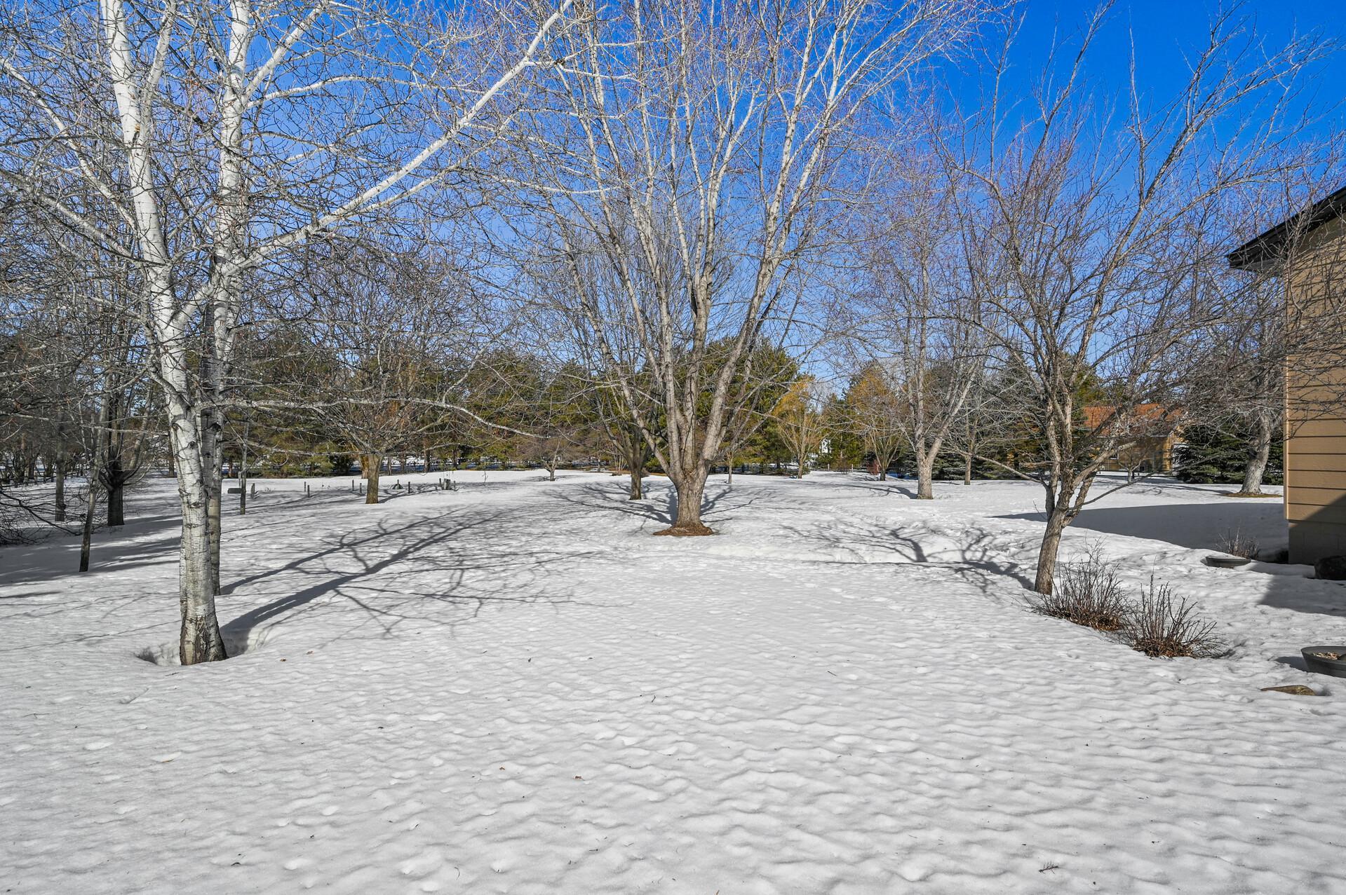 14183 Heather Ridge Drive Rogers, MN 55374 - Photo 47 of 72 Gallery Image 47