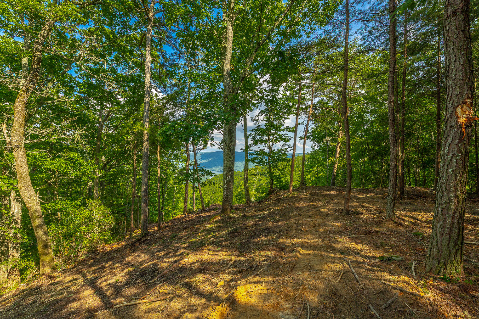 0 Back Basin Trail, Unit LOT 1244 Chattanooga, TN 37419 - Photo 13 of 119 MCW Correction HD-17