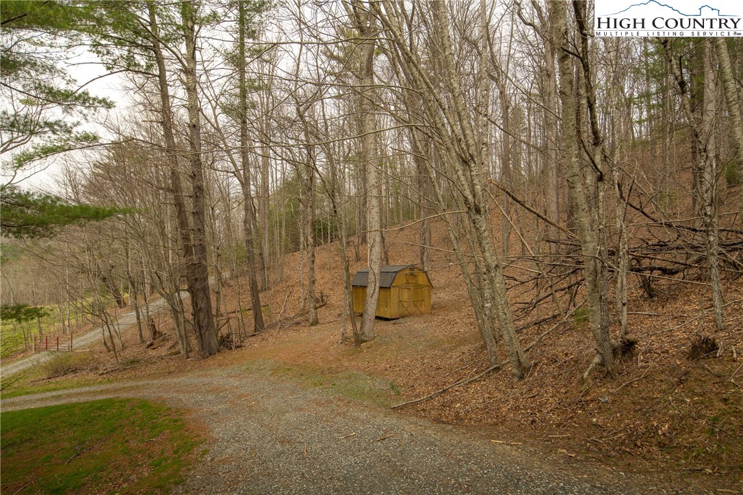 2408 Todd Railroad Grade Road Todd, NC 28684 - Photo 41 of 46 a view of shower and yard