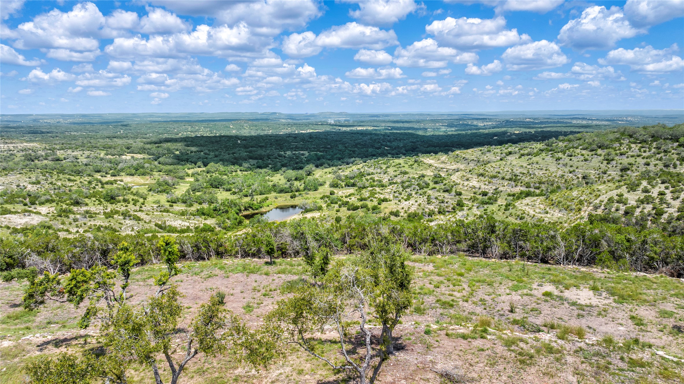 165 - View Dripping Springs, TX 78620 - Photo 3 of 4 Bird's eye view of a heavily wooded area and a nearby body of water