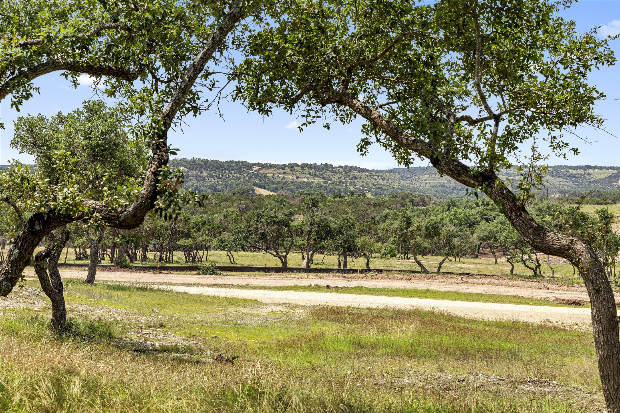 165 - View Dripping Springs, TX 78620 - Photo 4 of 4 View of mountain background