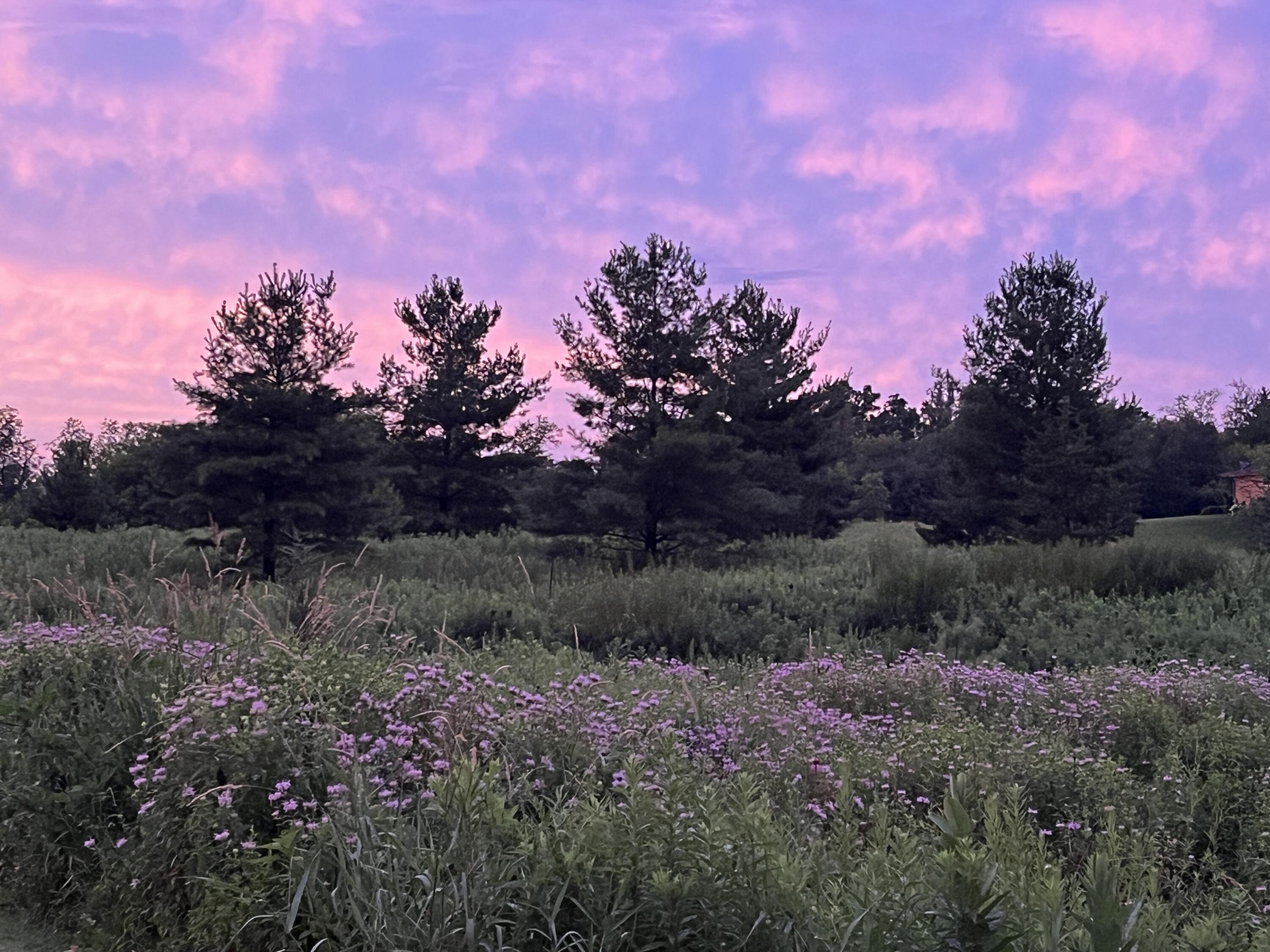 W1969 Itsa Little Road East Troy, WI 53120 - Photo 72 of 73 Twilight Views 2