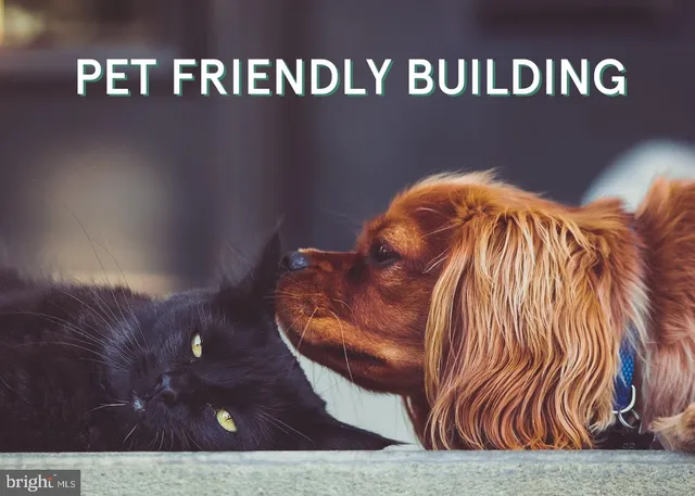 $499,900 | 1502 13th Street Northwest, Unit 1, Washington, DC 20005