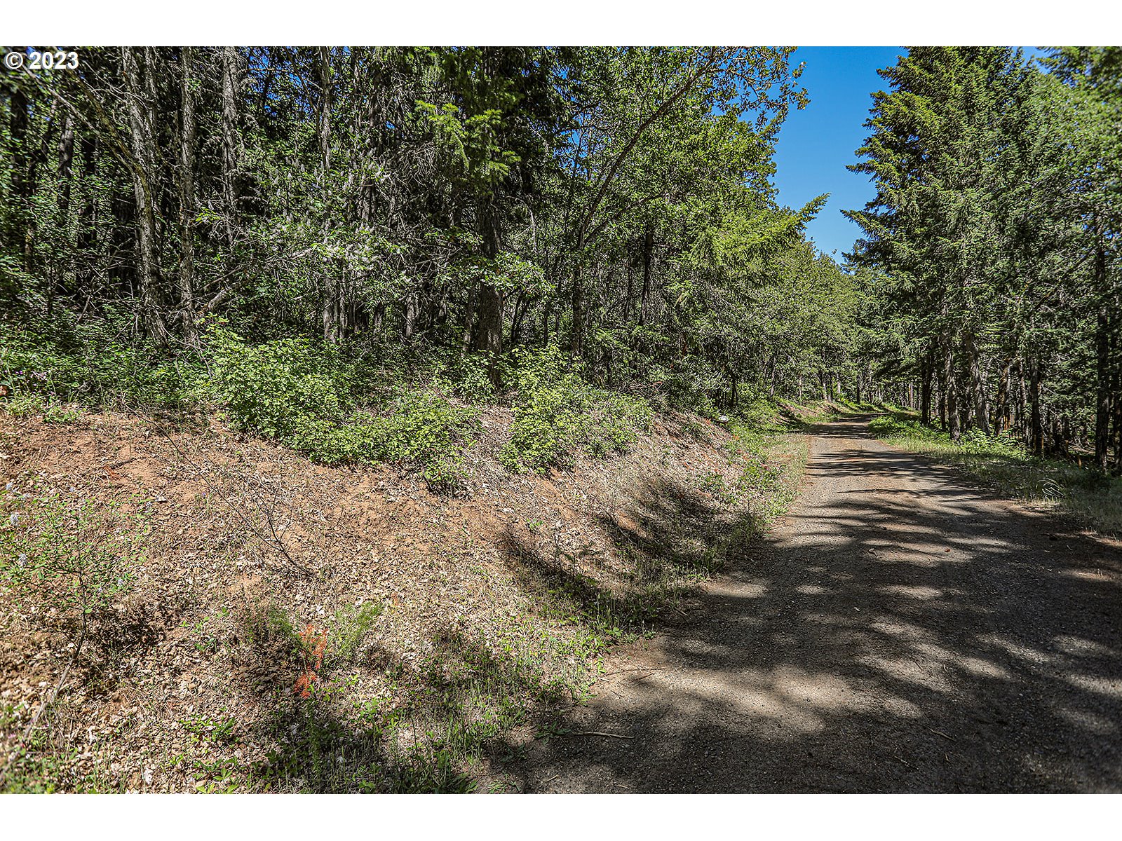 Lyons Road White Salmon, WA 98672 - Photo 18 of 41