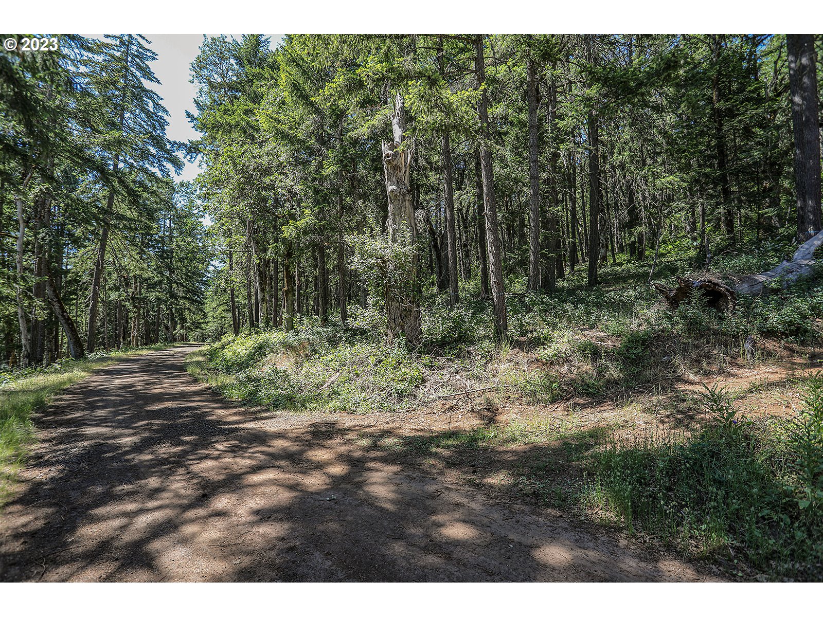 Lyons Road White Salmon, WA 98672 - Photo 24 of 41 a view of a forest with trees in the background
