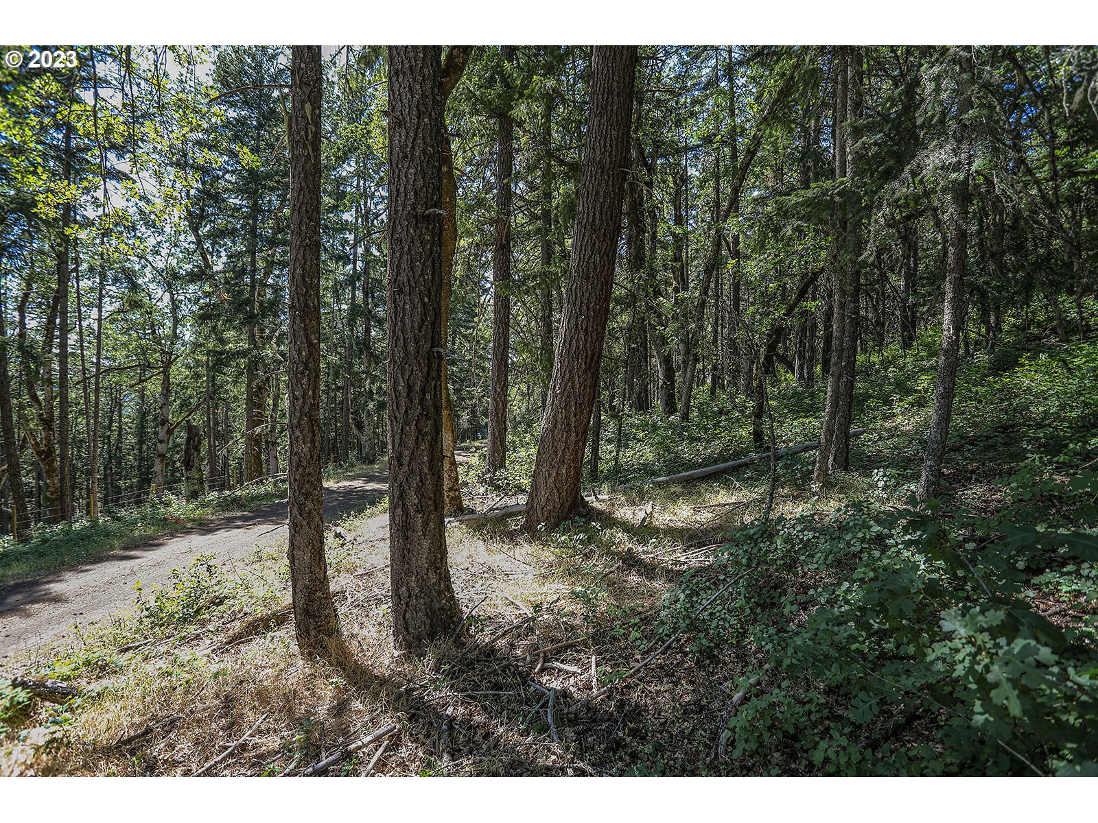 Lyons Road White Salmon, WA 98672 - Photo 25 of 41 a view of outdoor space and yard