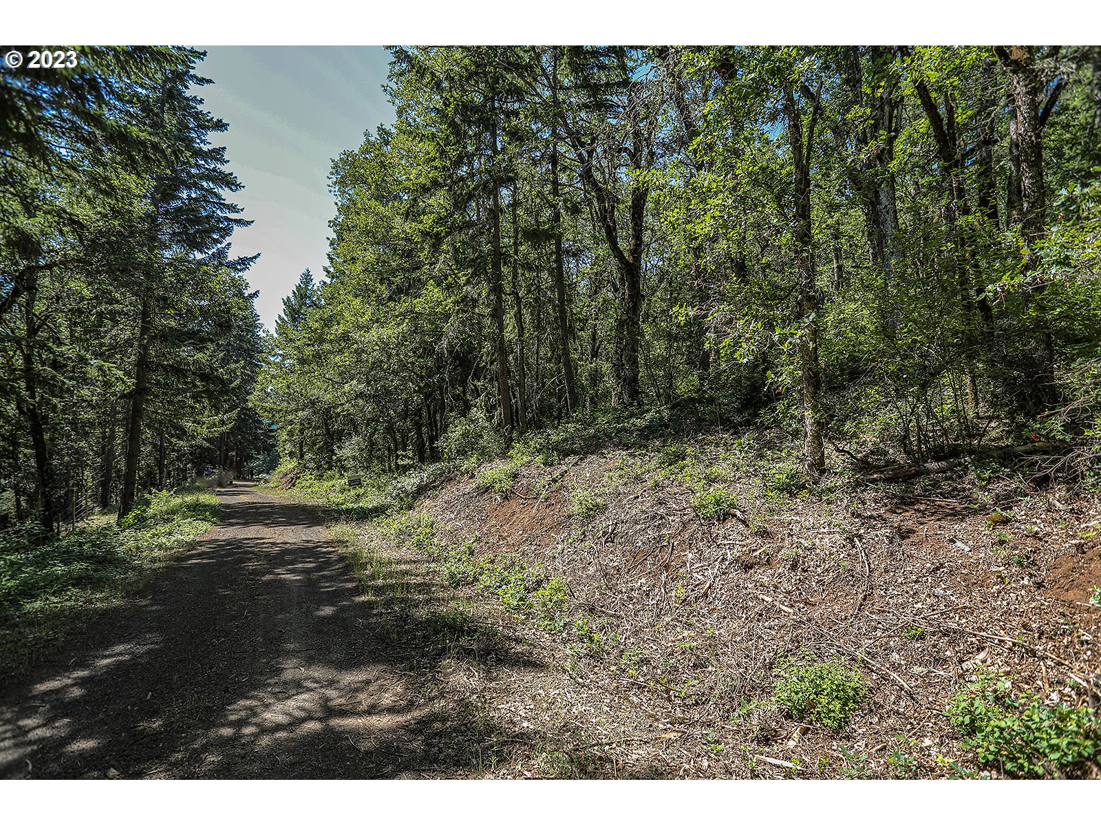 Lyons Road White Salmon, WA 98672 - Photo 28 of 41 a view of outdoor space and trees