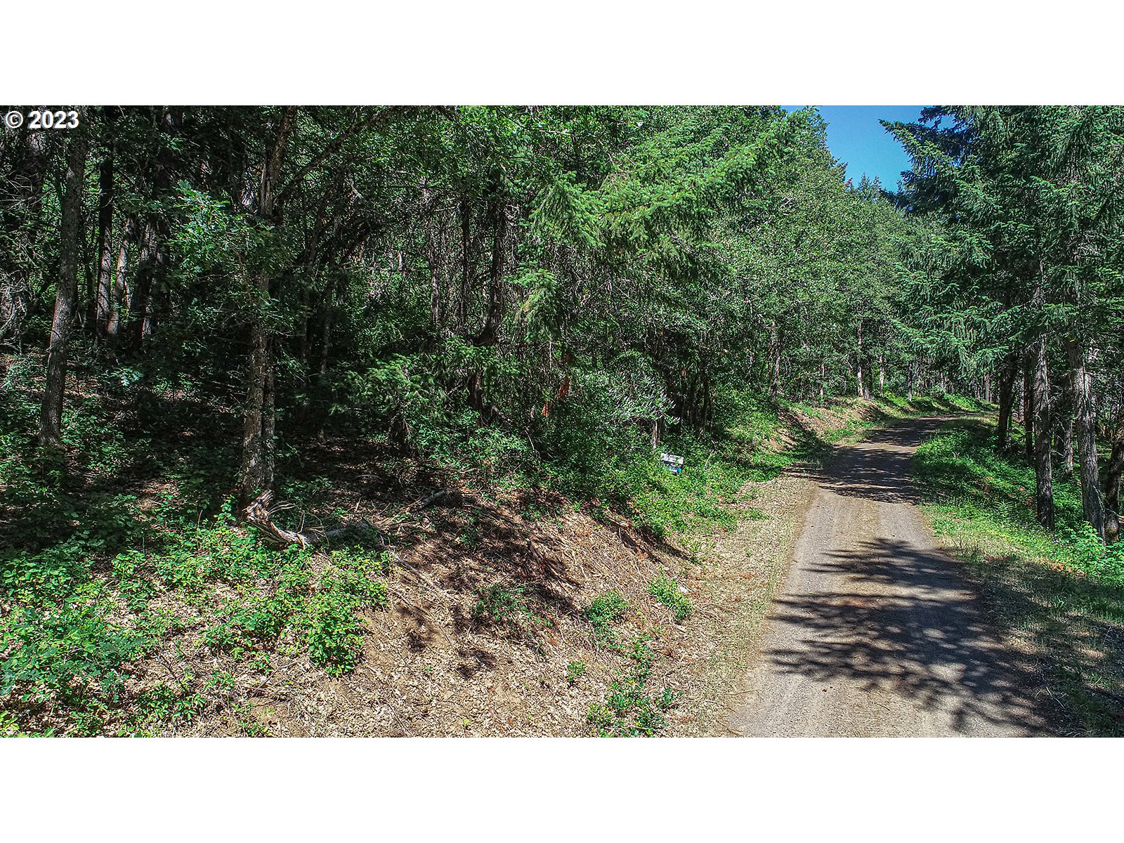 Lyons Road White Salmon, WA 98672 - Photo 29 of 41 a open area with trees in background