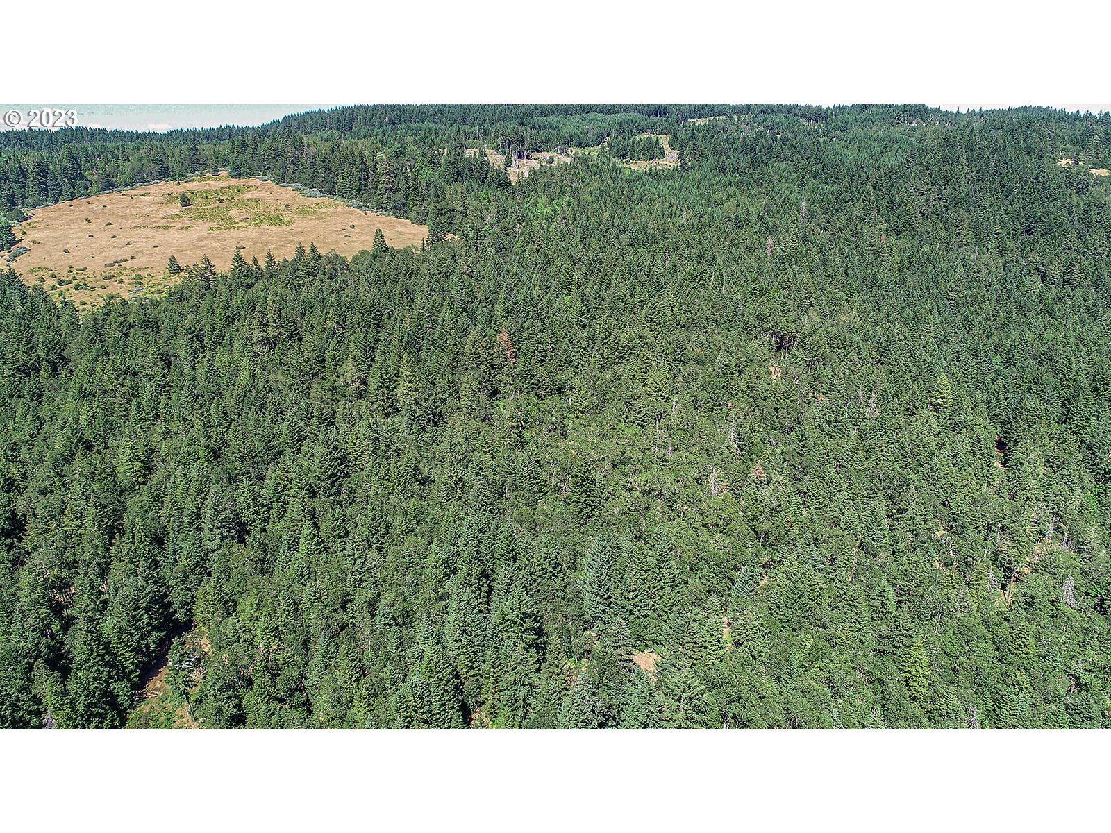 Lyons Road White Salmon, WA 98672 - Photo 31 of 41 a open area with view of mountains