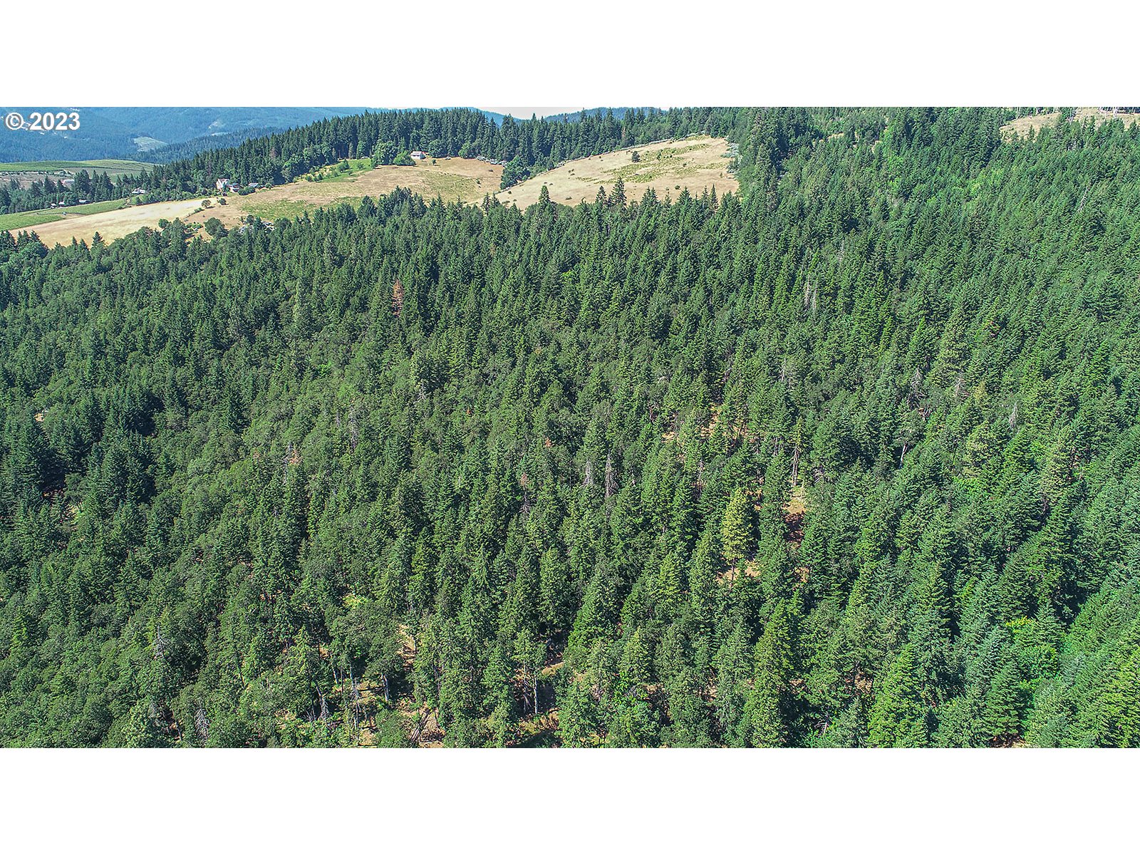 Lyons Road White Salmon, WA 98672 - Photo 33 of 41 a open area with lots of green trees