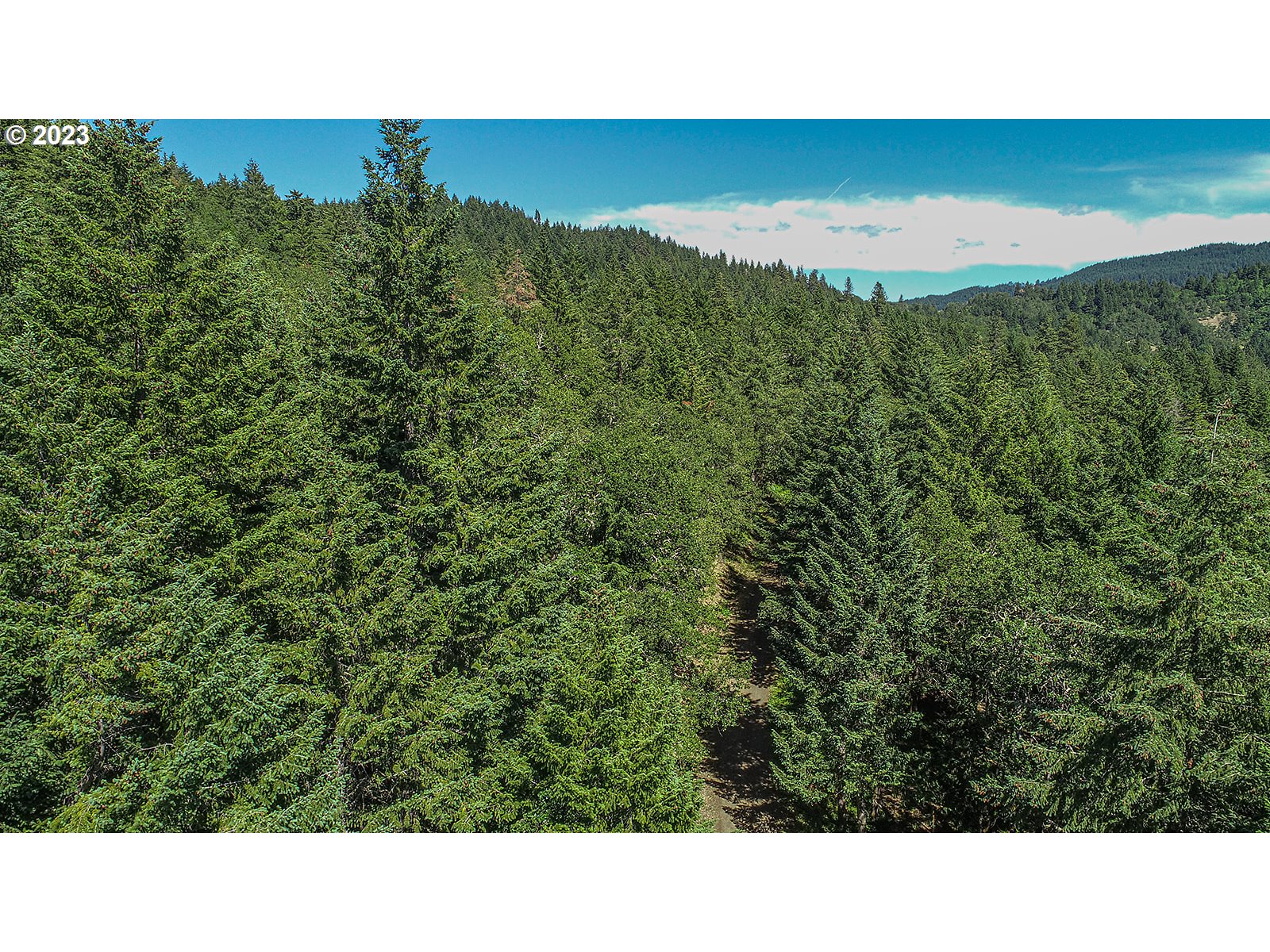 Lyons Road White Salmon, WA 98672 - Photo 38 of 41 a open area with lots of trees