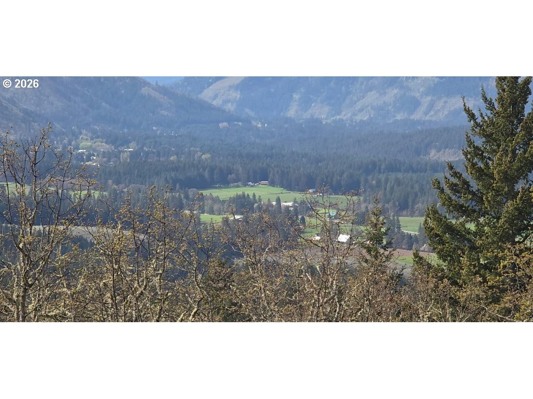 Lyons Road White Salmon, WA 98672 - Photo 4 of 41 View