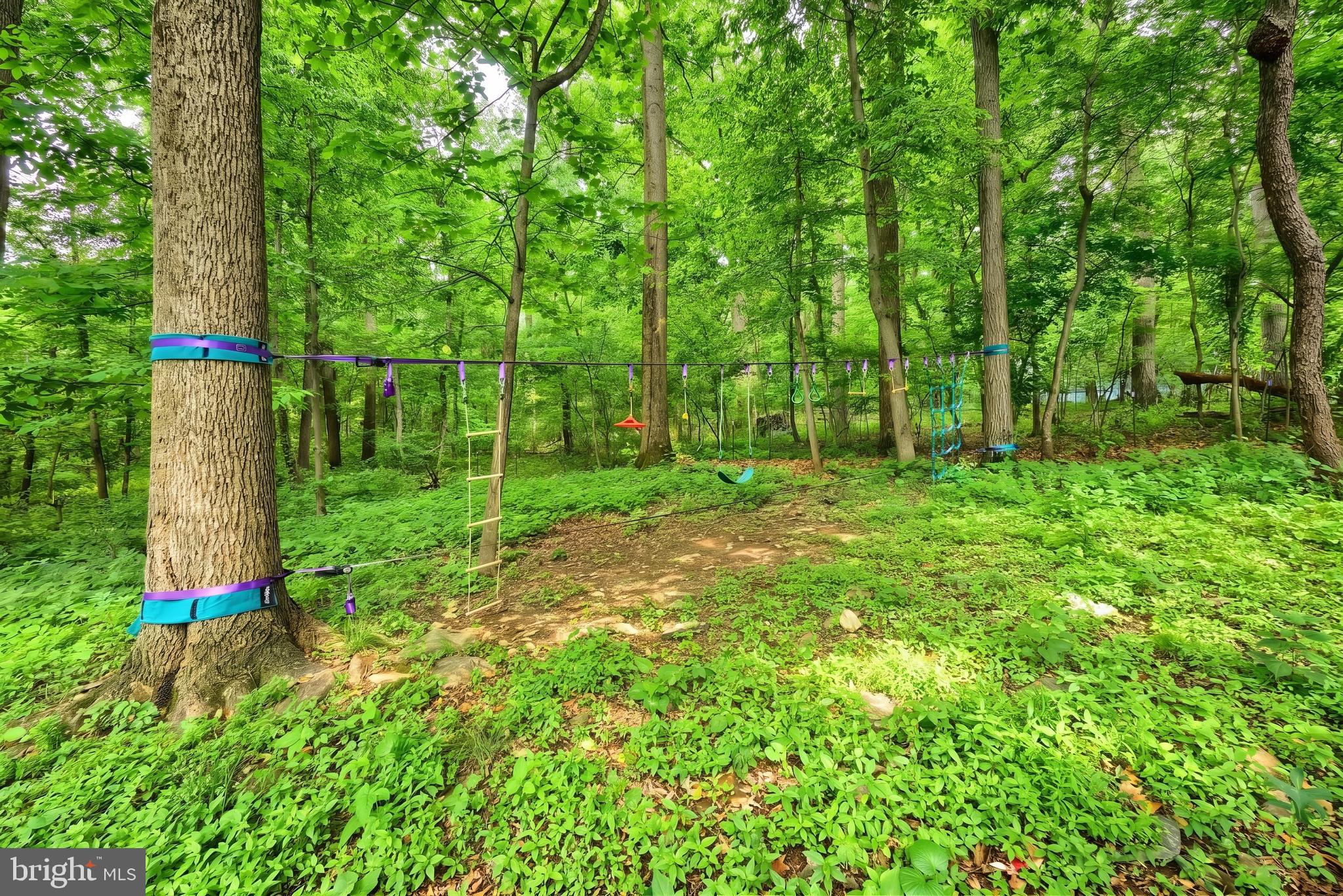 1111 Richmond Road Red Lion, PA 17356 - Photo 5 of 57 a view of a backyard with a garden