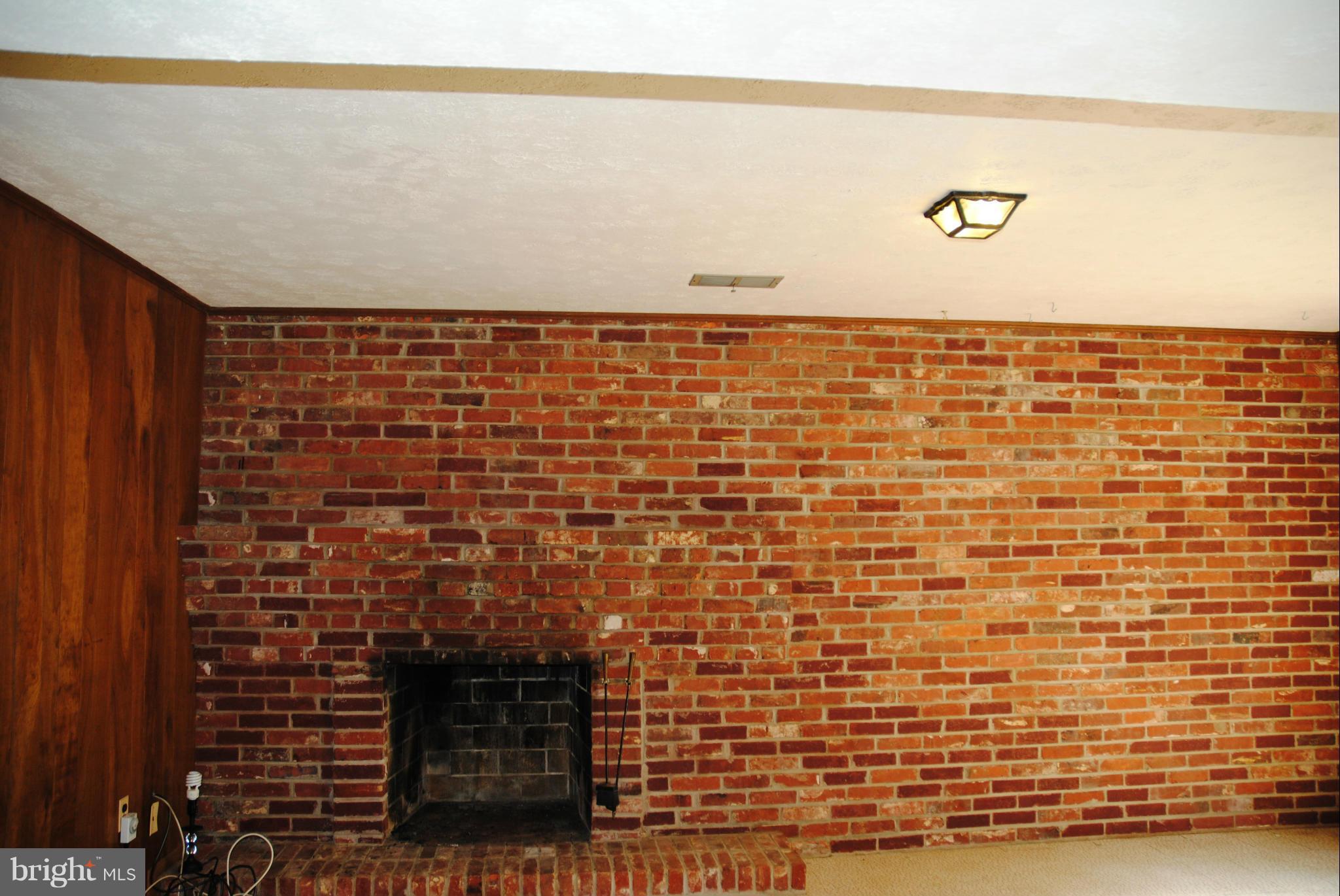 1613 Crestline Road Silver Spring, MD 20904 - Photo 22 of 29 Recreation Room - fireplace wall of brick!
