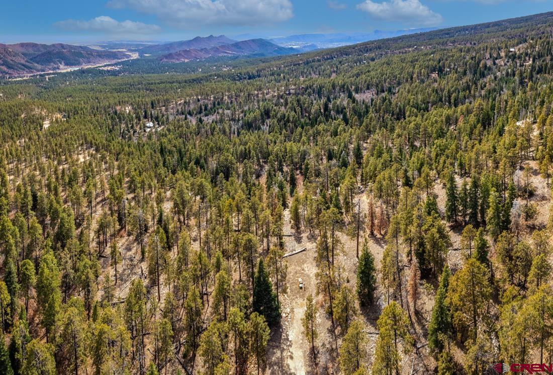 Lot 15 Taylor Ranch Road Durango, CO 81301 - Photo 12 of 35 a view of a lush green forest with a house