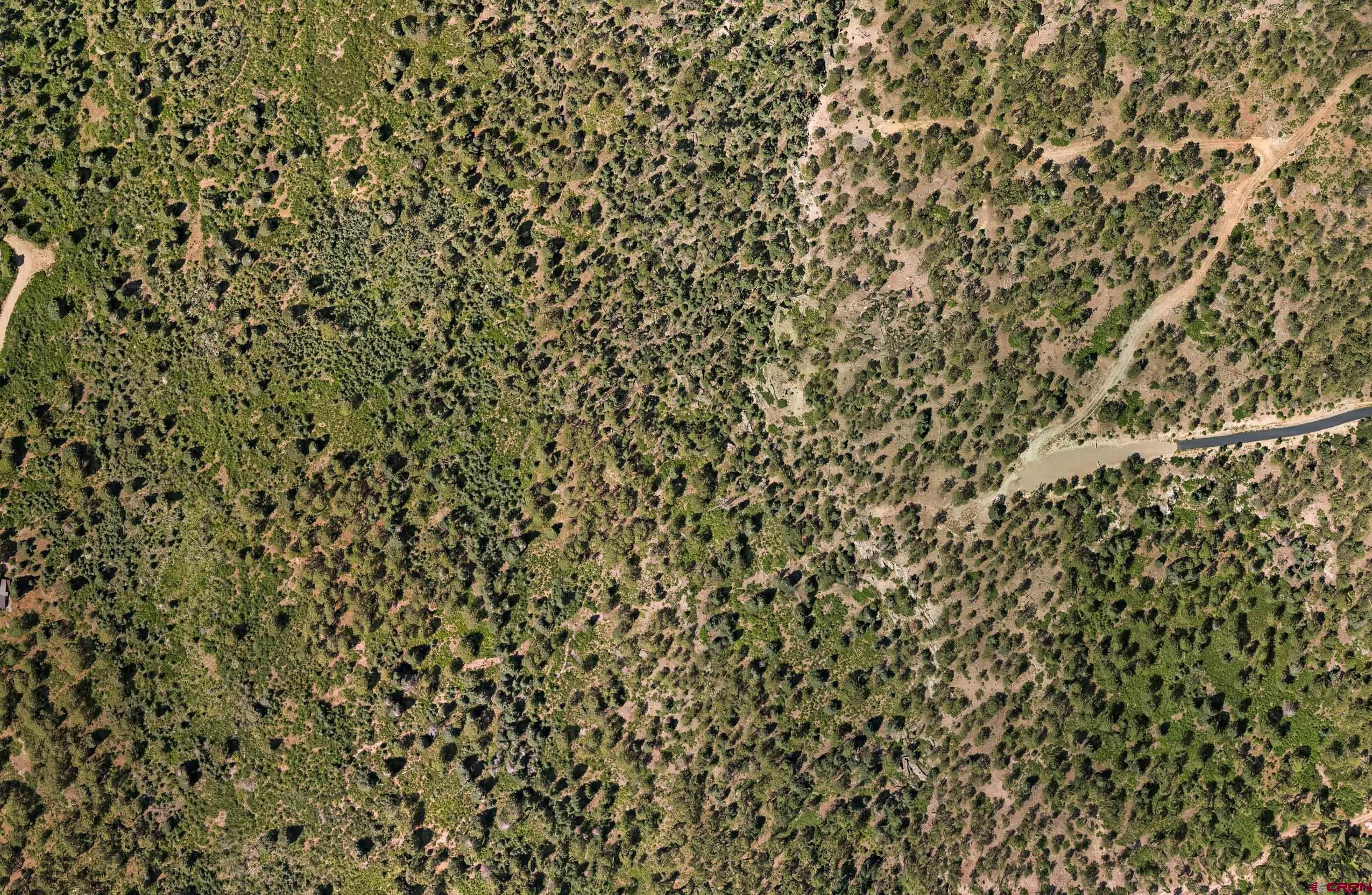 Lot 15 Taylor Ranch Road Durango, CO 81301 - Photo 20 of 35 close up of a white wall