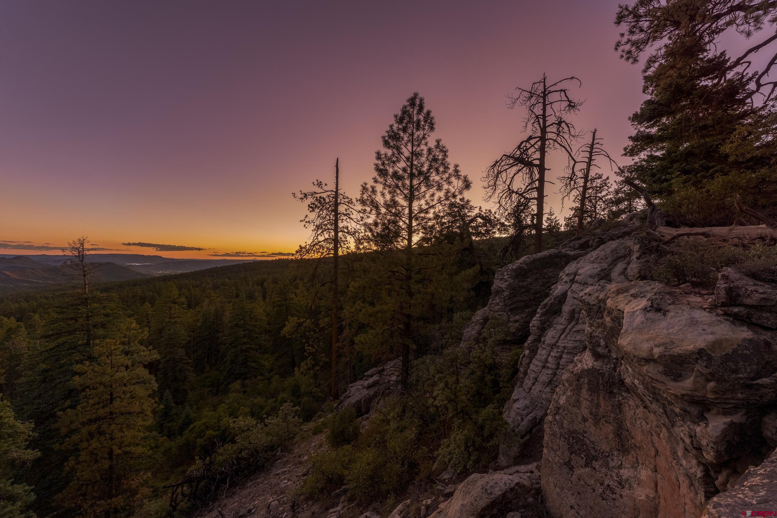 Lot 15 Taylor Ranch Road Durango, CO 81301 - Photo 24 of 35 a view of a city with lush green forest
