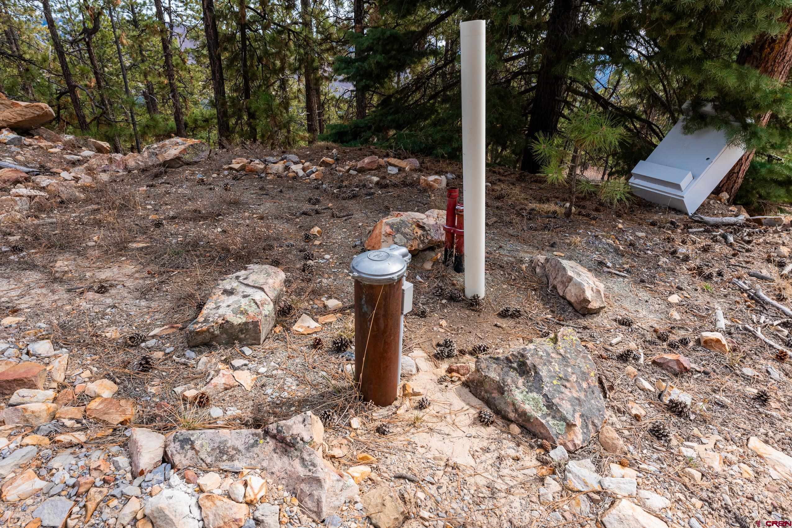 Lot 15 Taylor Ranch Road Durango, CO 81301 - Photo 26 of 35 a view of a backyard with trees