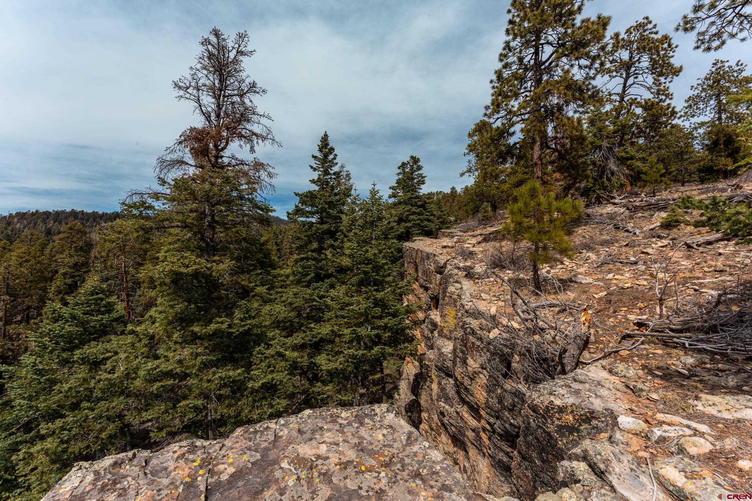 Lot 15 Taylor Ranch Road Durango, CO 81301 - Photo 32 of 35 a view of a yard with plants and trees