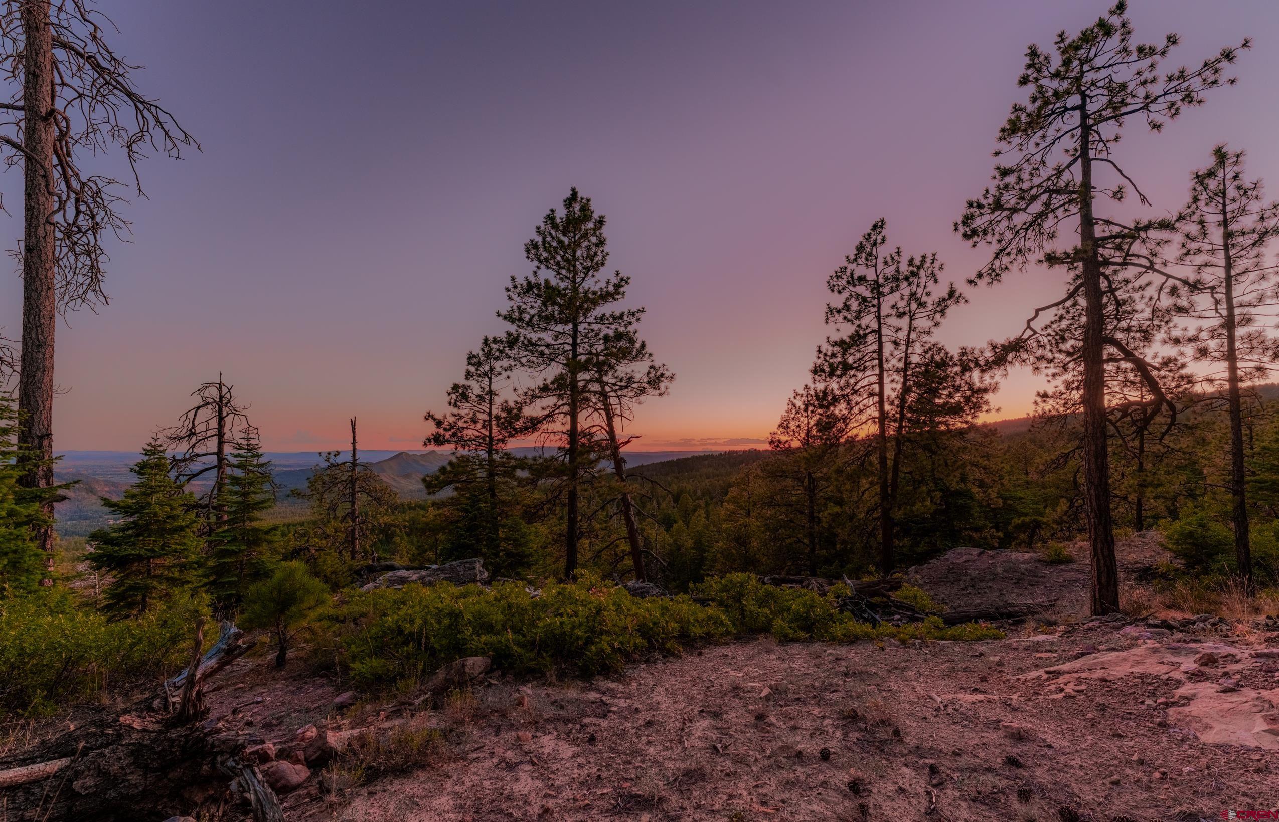 Lot 15 Taylor Ranch Road Durango, CO 81301 - Photo 7 of 35 a view of a forest filled with trees