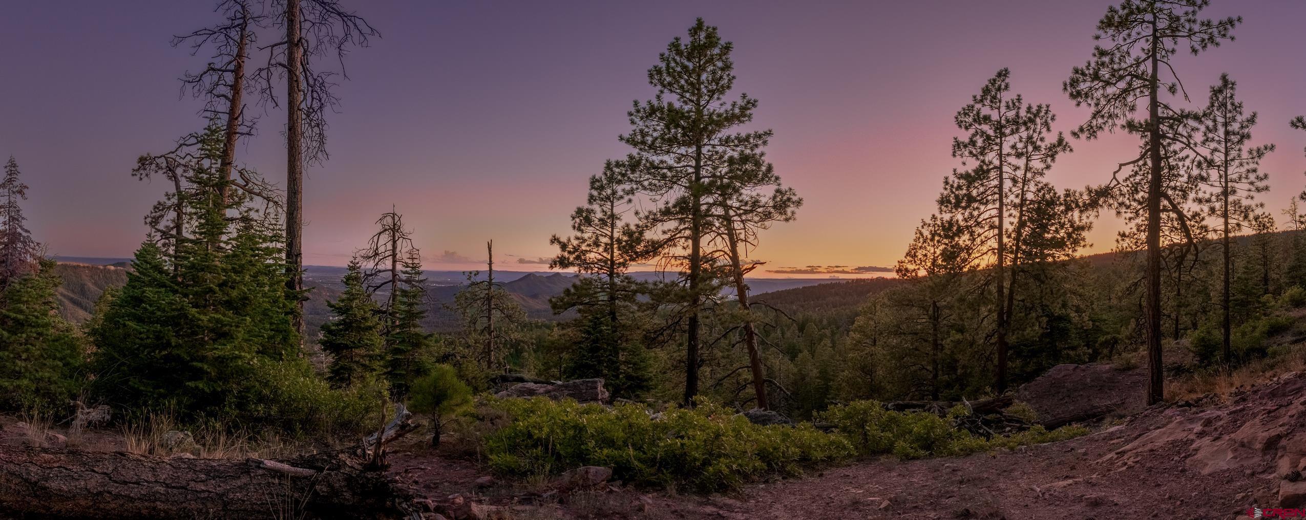 Lot 15 Taylor Ranch Road Durango, CO 81301 - Photo 9 of 35 a view of a yard
