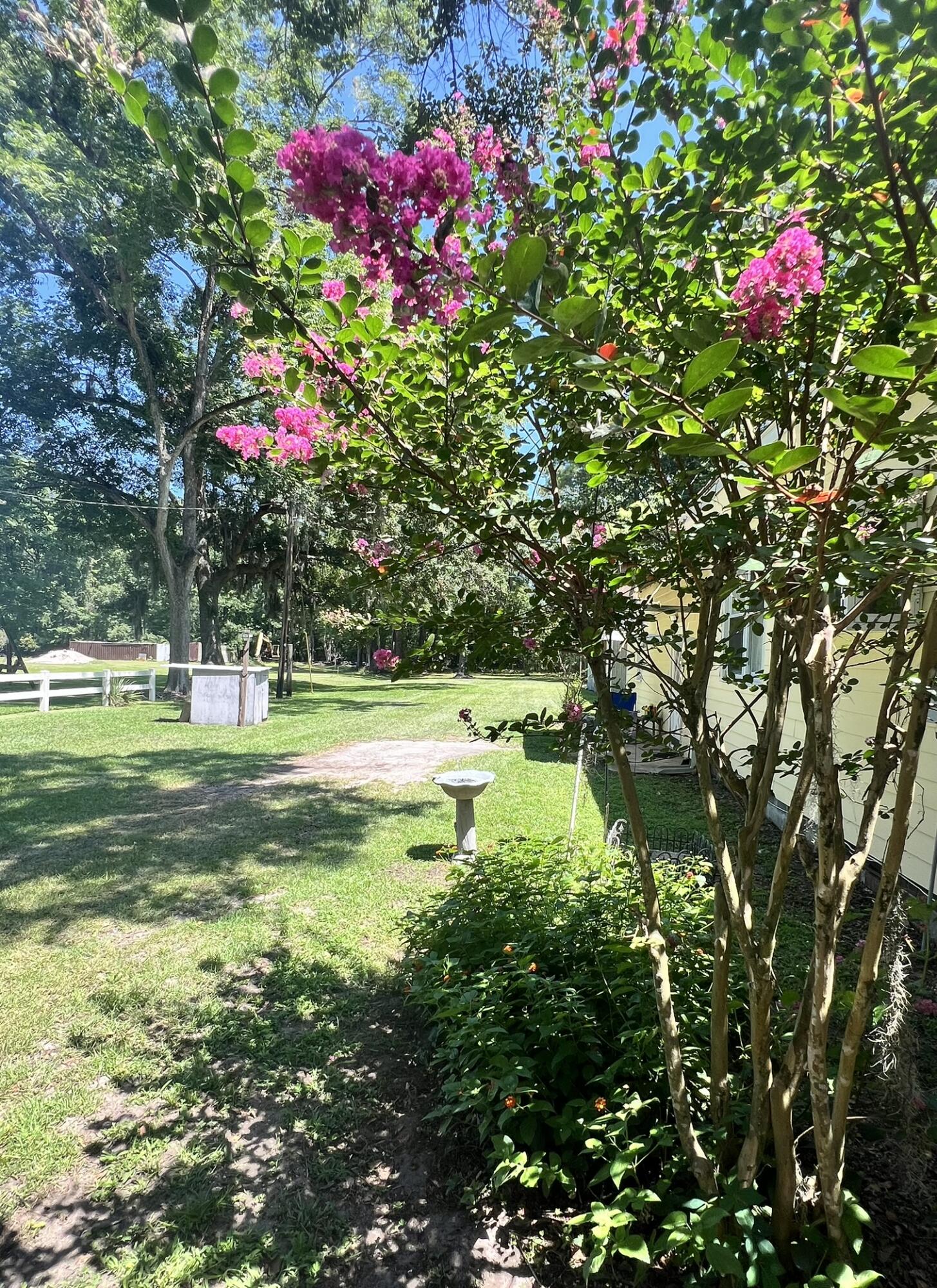 6513 Toogoodoo Road Meggett, SC 29449 - Photo 5 of 30 6513 side yard