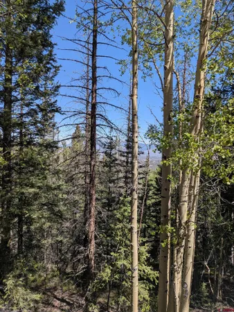 $16,000 | 5374 Adams Road, Fort Garland, CO 81133