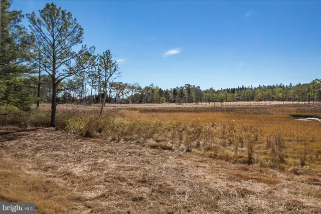 a view of lake with green space