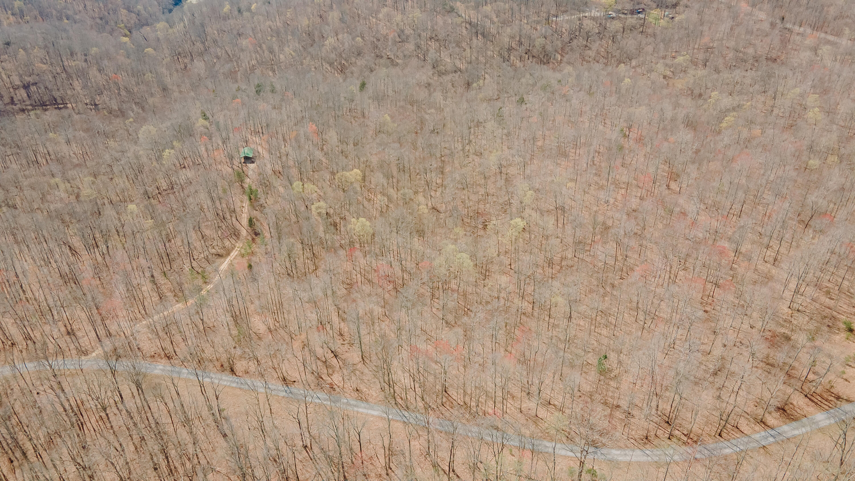 7000 Cave Springs Road Nancy, KY 42544 - Photo 41 of 69 Wolf Creek-36