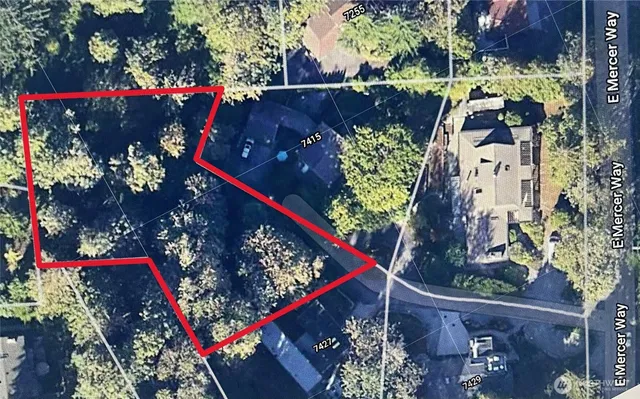 a view of flowers and flowers in a yard