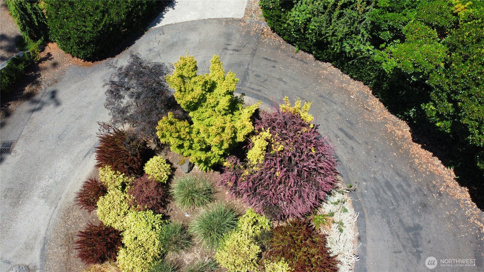 7421 East Mercer Way Mercer Island, WA 98040 - Photo 7 of 15 a view of flowers and flowers in a yard