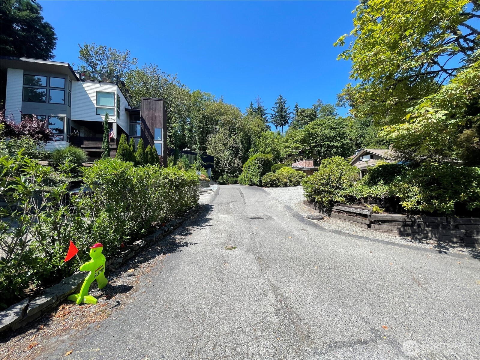 7421 East Mercer Way Mercer Island, WA 98040 - Photo 10 of 15 a view of a garden with potted plants and a large tree