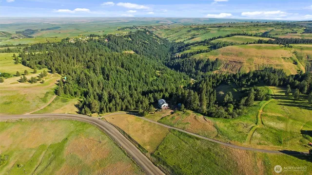 a view of a lake with a yard