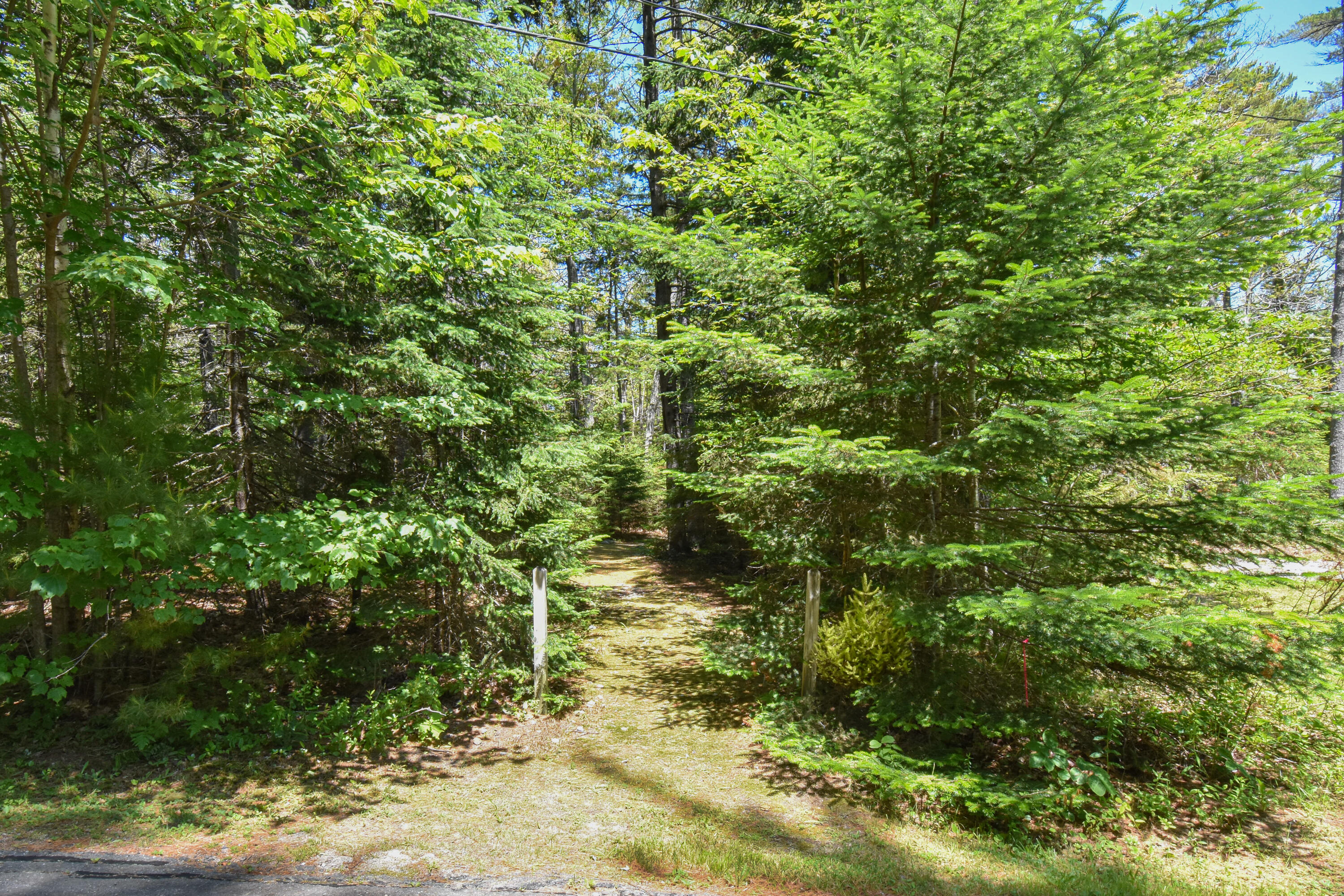 143 Meadow Cove Road East Boothbay, ME 04544 - Photo 47 of 78 143MeadowCoveRd.Boothbay-51