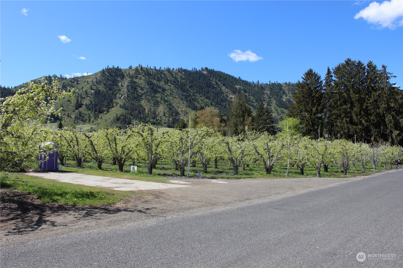 59 Wohlers Road Cashmere, WA 98815 - Photo 11 of 36 Gallery Image 11