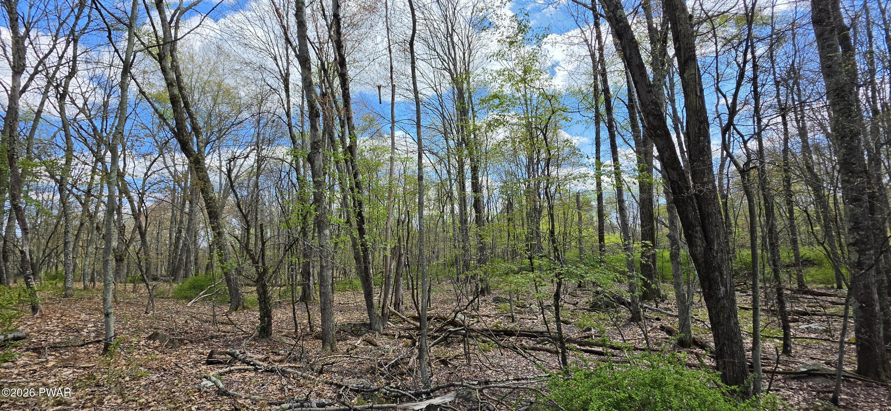 Lot 17.14 Skipperene Road Narrowsburg, NY 12764 - Photo 9 of 15