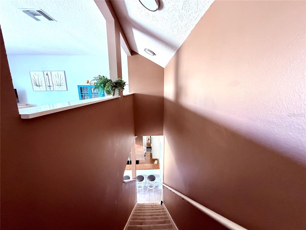 5103 Rushbrook Road Land O' Lakes, FL 34638 - Photo 47 of 52 Gallery Image 47