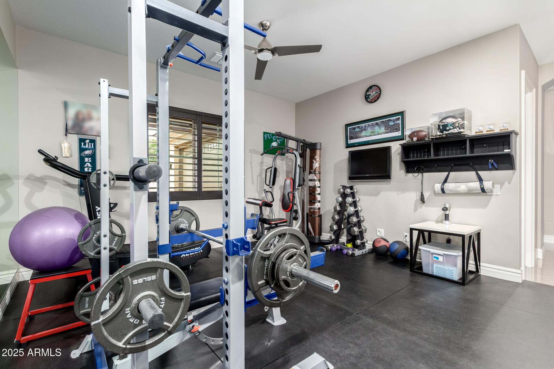 6017 South Marin Court Gilbert, AZ 85298 - Photo 27 of 60 Gym/ Flex Room