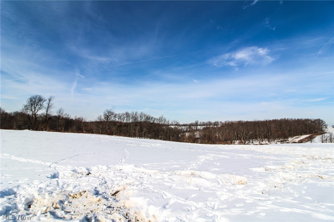 8176 Branch Road Amsterdam, OH 43903 - Photo 15 of 34 Gallery Image 15